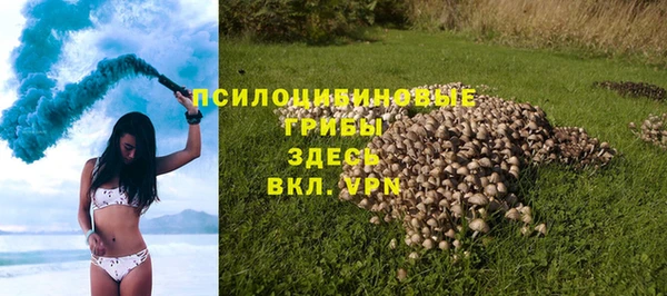 дживик Зерноград