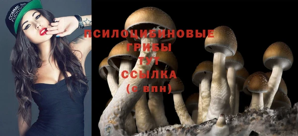 дурь Зеленодольск