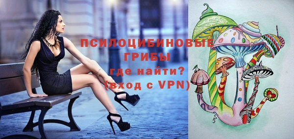 эйфоретик Зеленокумск