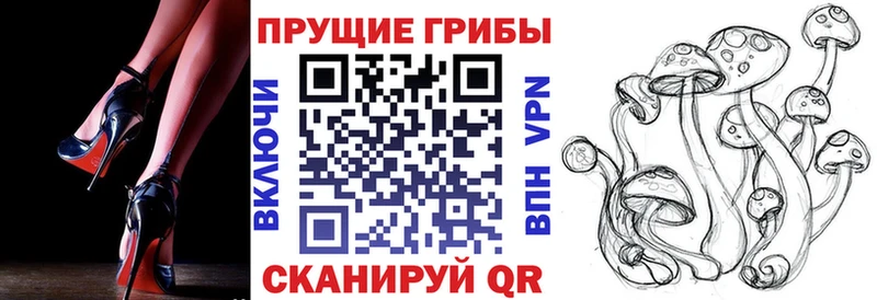 Псилоцибиновые грибы прущие грибы  Купить закладки  Красновишерск 